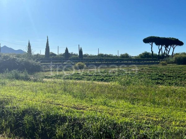 negozio in vendita a Terracina in zona Hermada