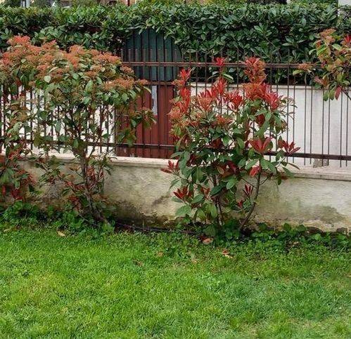 casa indipendente in vendita a Terracina