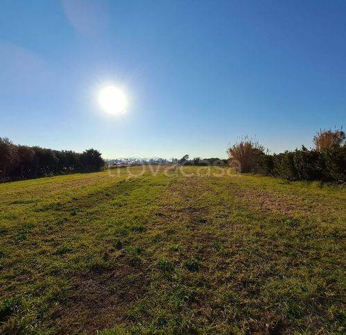 terreno agricolo in vendita a Terracina