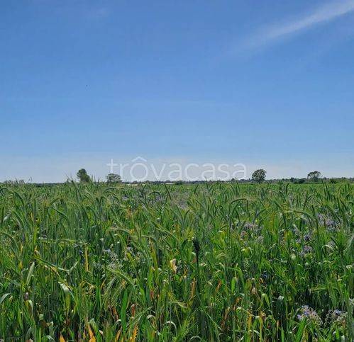 terreno agricolo in vendita a Terracina
