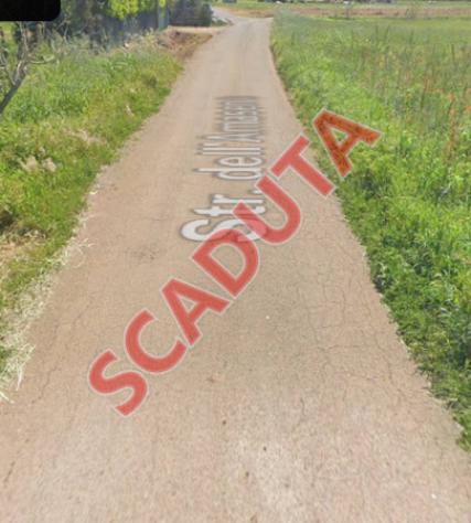 pentavano in vendita a Terracina