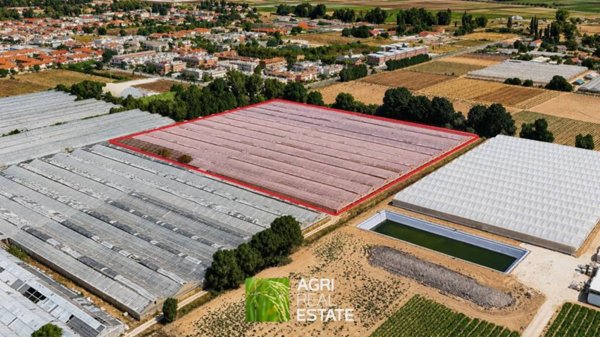 terreno agricolo in vendita a Terracina in zona Hermada