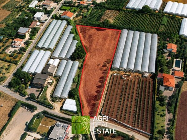 terreno agricolo in vendita a Terracina in zona Casaletti