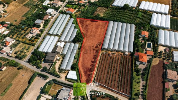 terreno agricolo in vendita a Terracina