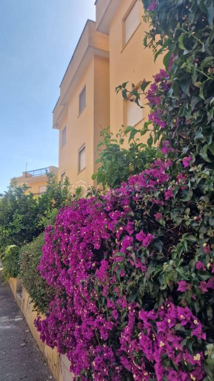 appartamento in vendita a Terracina