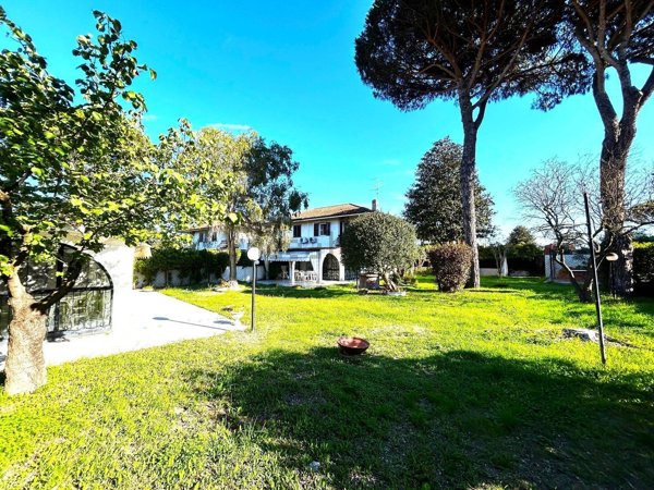 esavano in vendita a Terracina