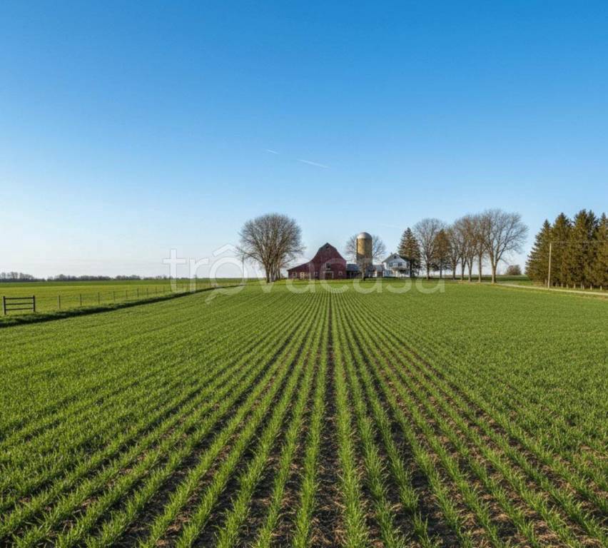 terreno agricolo in vendita a Terracina
