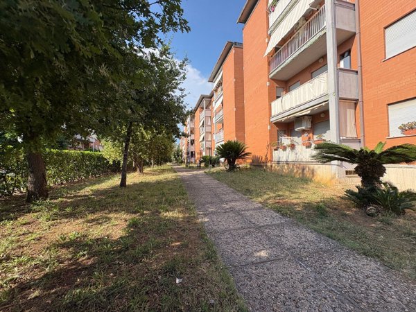 appartamento in vendita a Terracina