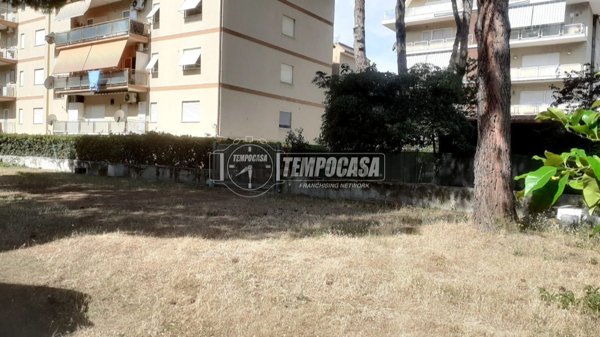box auto in vendita a Terracina