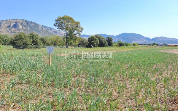 terreno in vendita a Terracina