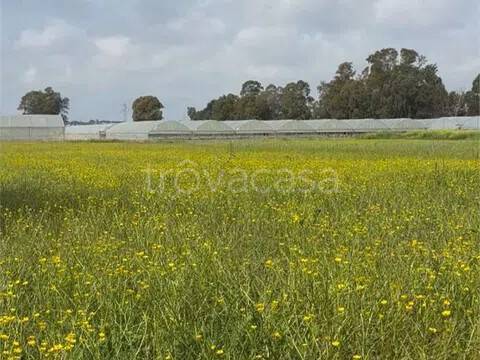 terreno agricolo in vendita a Terracina in zona Hermada