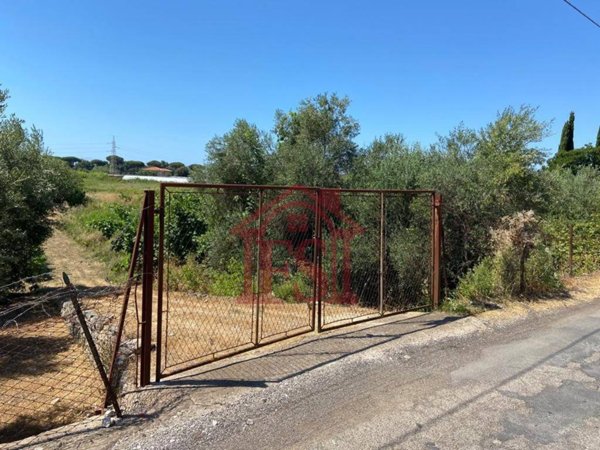 terreno agricolo in vendita a Terracina