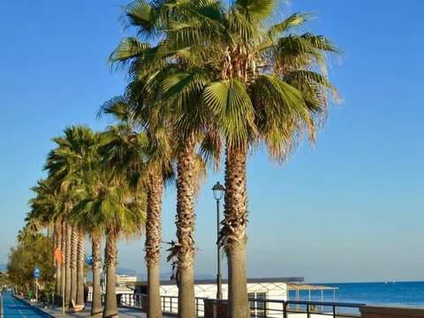 appartamento in vendita a Terracina