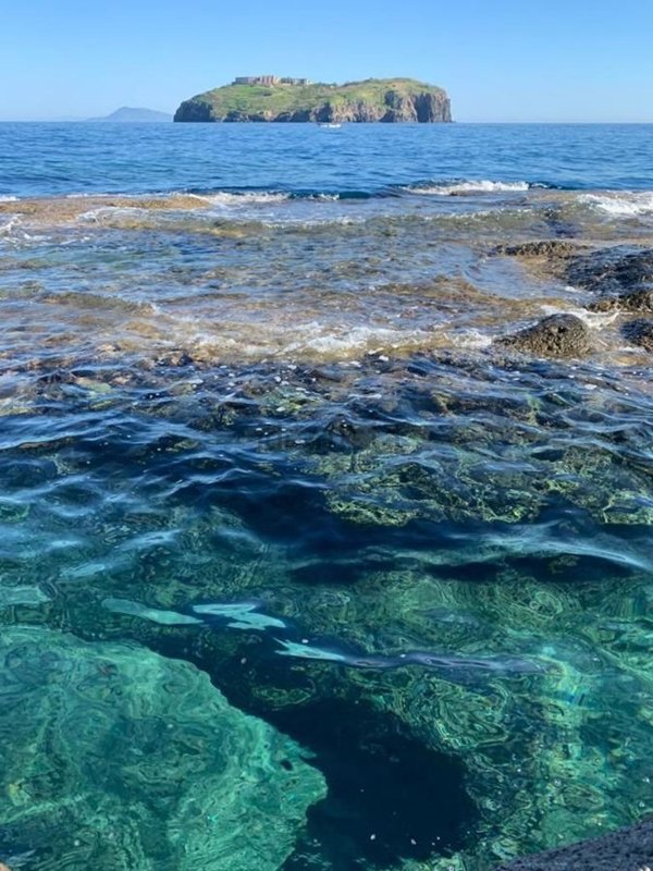 appartamento in vendita a Ventotene