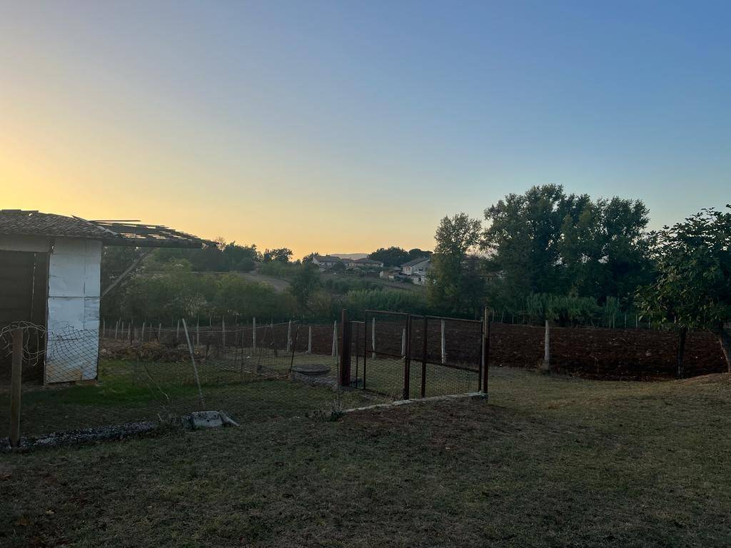 terreno agricolo in vendita ad Alatri