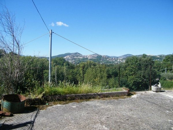 terreno agricolo in vendita ad Alatri