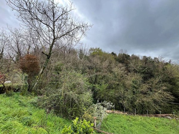 terreno agricolo in vendita ad Alatri