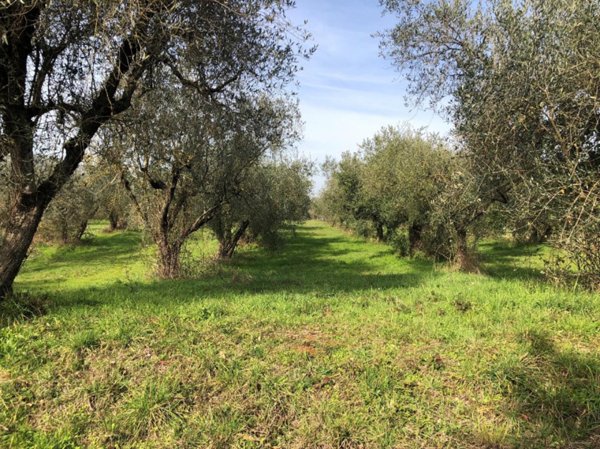 casa indipendente in vendita ad Alatri