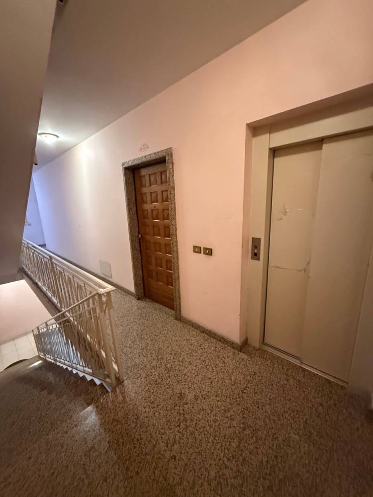 immagine annuncio 0 di 13