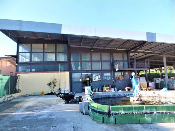 negozio in vendita ad Alatri in zona Tecchiena