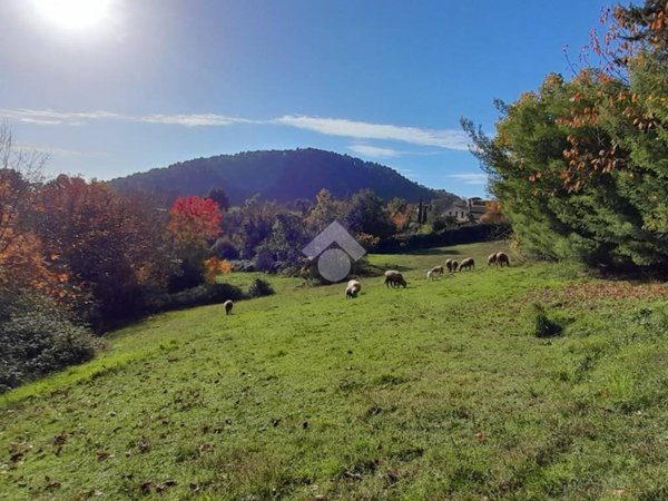 terreno agricolo in vendita ad Alatri