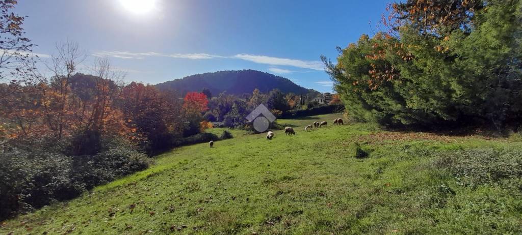 terreno agricolo in vendita ad Alatri