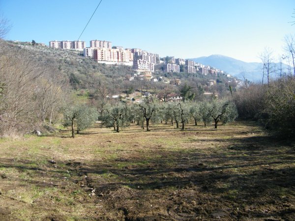 terreno agricolo in vendita ad Alatri