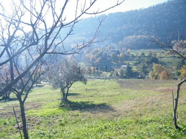 terreno agricolo in vendita ad Alatri