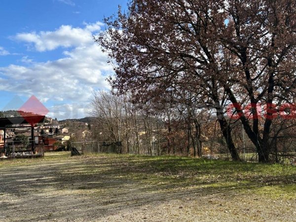 terreno agricolo in vendita ad Alatri