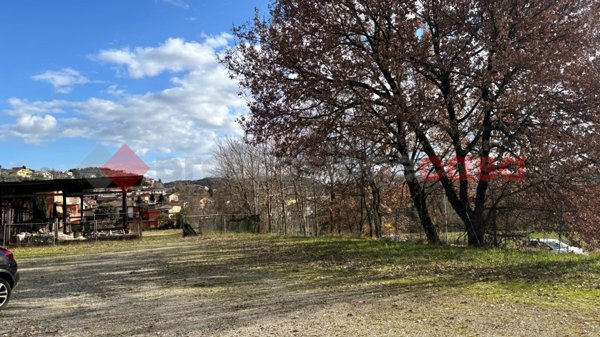 terreno agricolo in vendita ad Alatri