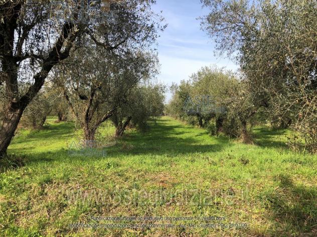 terreno edificabile in vendita ad Alatri