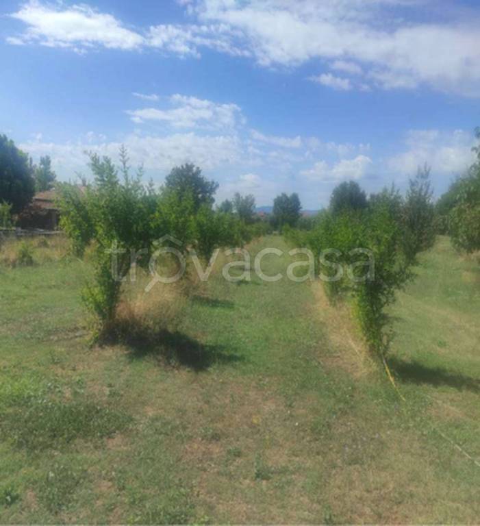 terreno edificabile in vendita ad Alatri