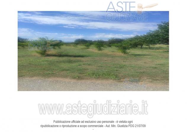 terreno edificabile in vendita ad Alatri