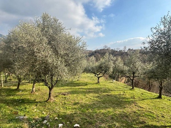 casale in vendita ad Alatri