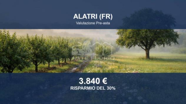 terreno agricolo in vendita ad Alatri