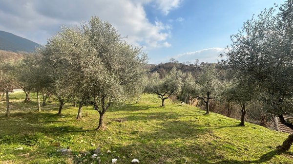 casale in vendita ad Alatri