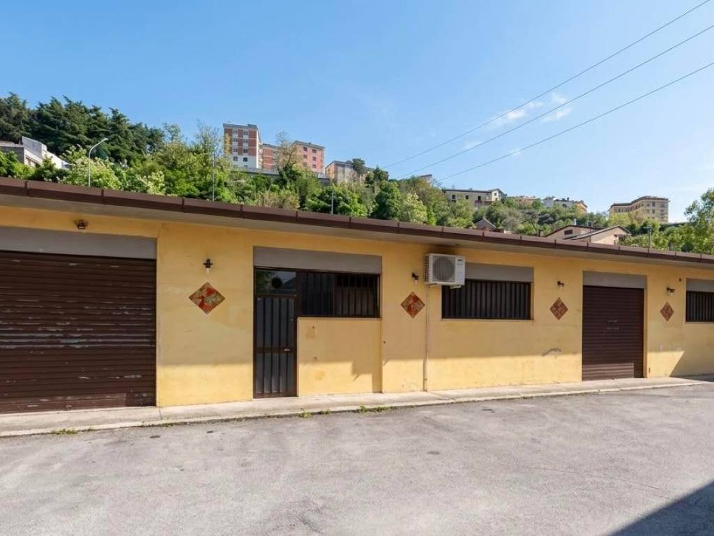 negozio in vendita ad Alatri