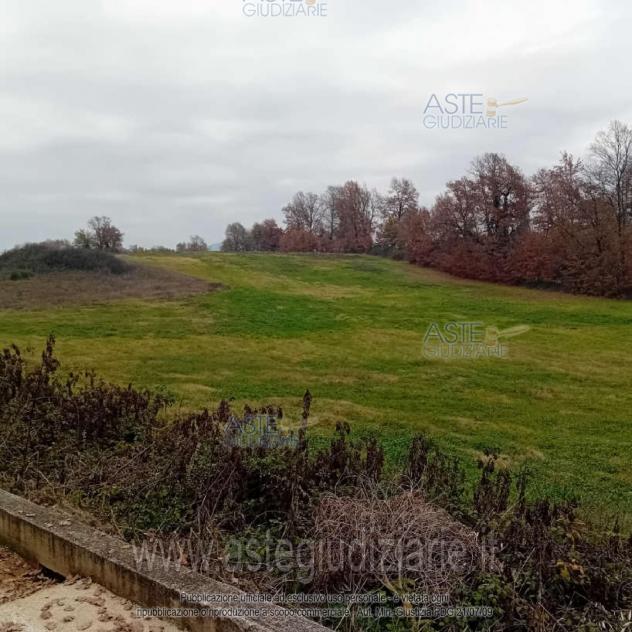 terreno agricolo in vendita ad Alatri