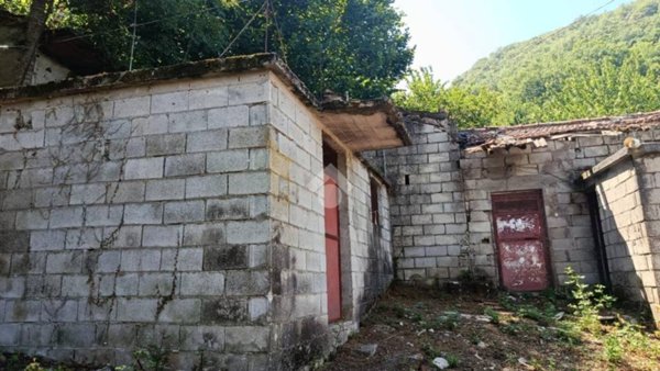 terreno agricolo in vendita ad Alatri