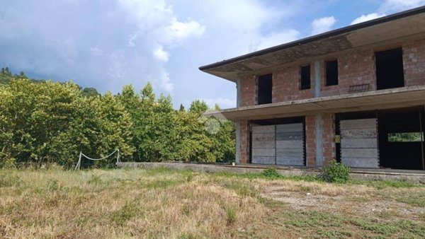 immagine annuncio 0 di 15