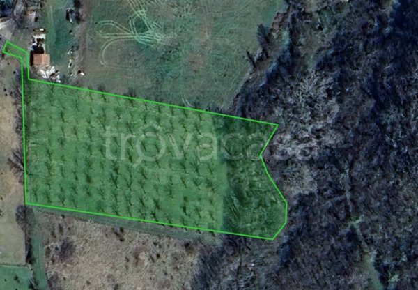 terreno agricolo in vendita ad Alvito