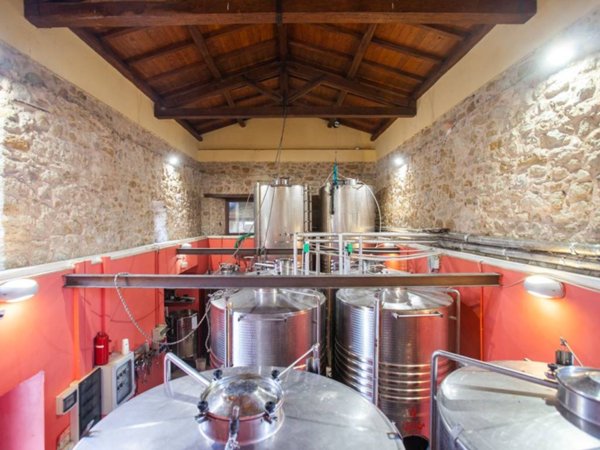 negozio in vendita ad Alvito