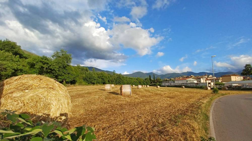 terreno agricolo in vendita ad Amaseno