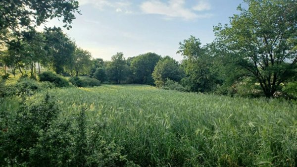terreno agricolo in vendita ad Amaseno