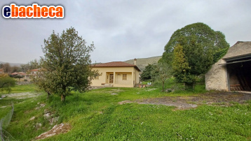 appartamento in vendita ad Amaseno