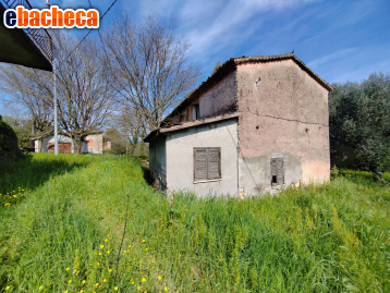 appartamento in vendita ad Amaseno