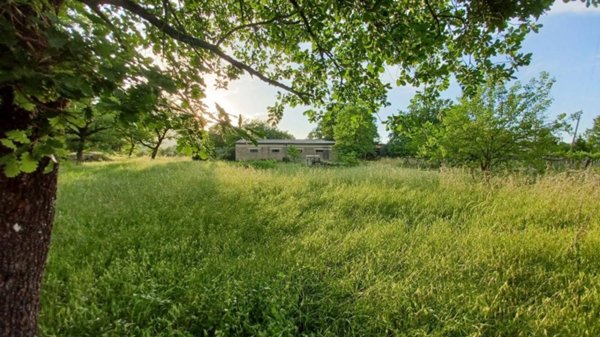 casa indipendente in vendita ad Amaseno