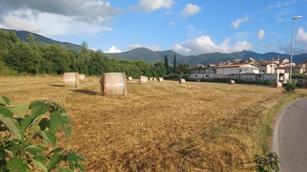 terreno agricolo in vendita ad Amaseno