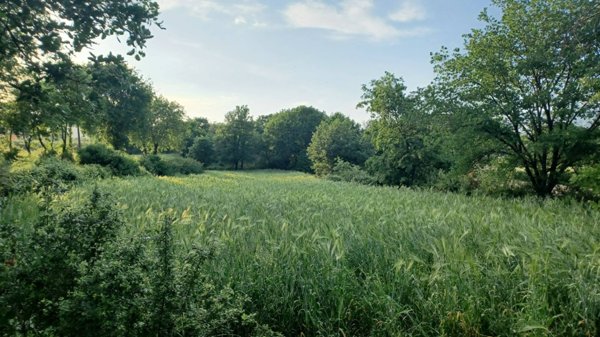 terreno agricolo in vendita ad Amaseno