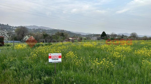 terreno agricolo in vendita ad Anagni